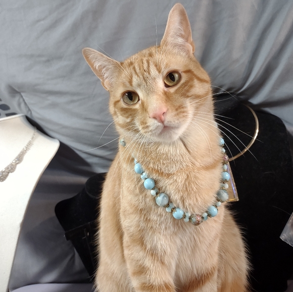 YOU could looks this fabulous too! - Picture 3 of 12